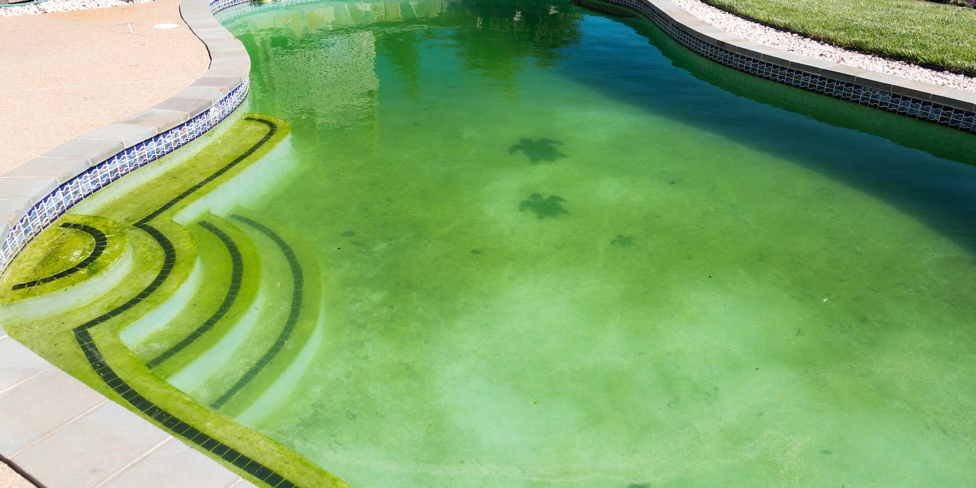 Green Pool Recovery - Before and After Adelaide